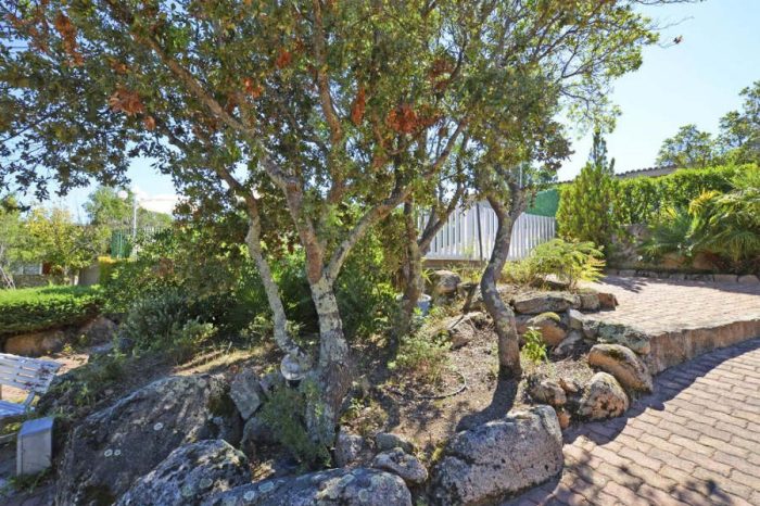 Arataggio Affitto Les Vegeilias Porto-Vecchio Giardino