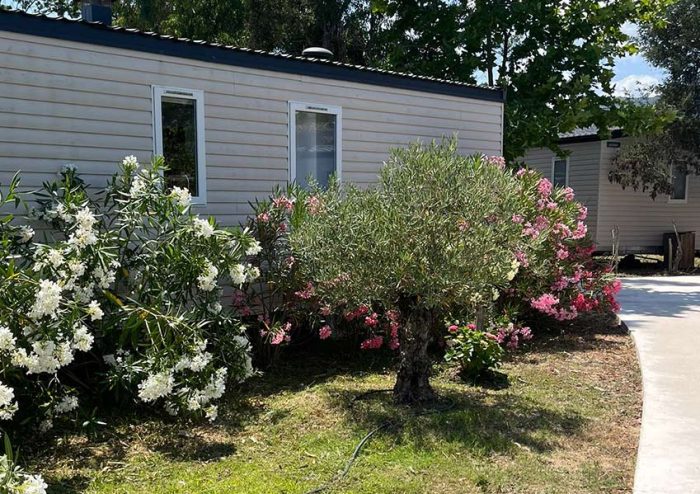 Campeggio Porto Vecchio, 4 stelle Giardino