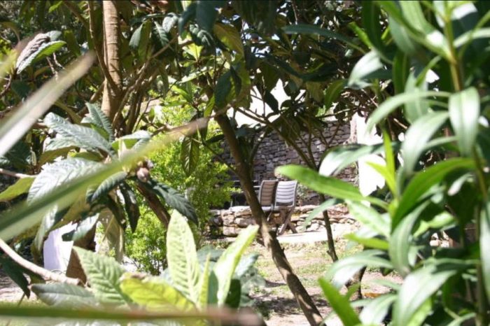 Residence Perla di Macchia Bonifacio Esterno Monolocale