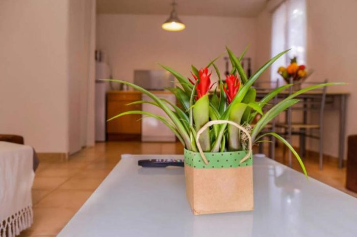 Residence Perla di Macchia Bonifacio Villa 2 camere Soggiorno