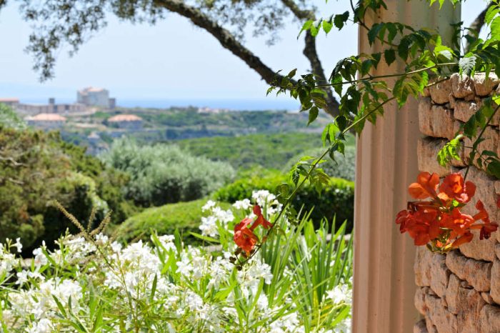 villas-terra-marina-luxe-bonifacio-vue-terrasse